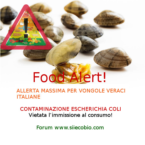 Vongole_veraci_allerta_rischio_escherichia_coli.jpg