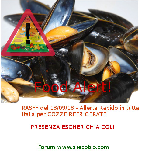 Cozze_ritiro_Italia_escherichia_coli.jpg