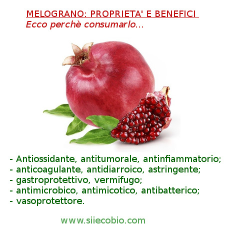 Melograna_proprieta_antiossidanti.jpg