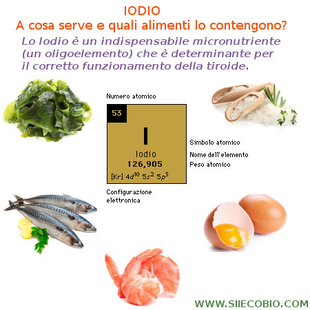 Iodio_a_cosa_serve_alimenti.jpg