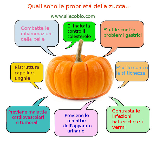 Usi_Proprieta_Benefici_Zucca.jpg