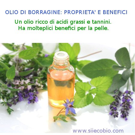 Olio_di_Borragine_proprietà.jpg