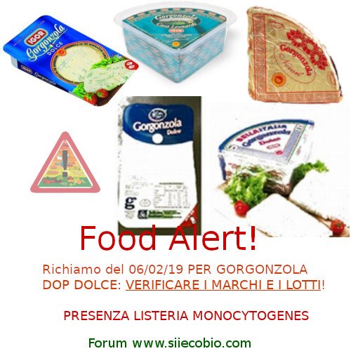 Gorgonzola_DOP_dolce_richiamo_listeria.jpg