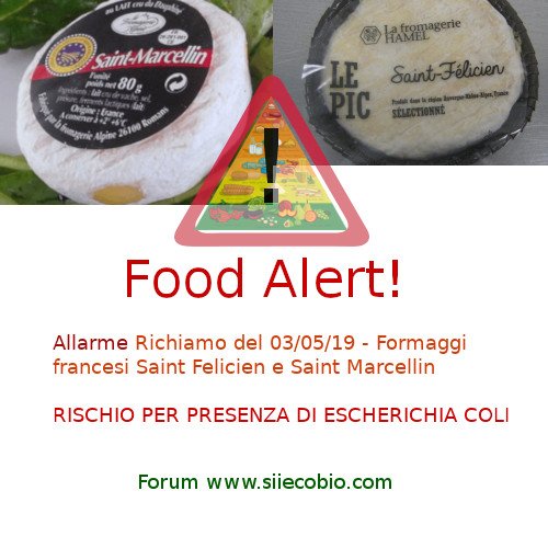 Allarme_Formaggi_francesi_escherichia.jpg