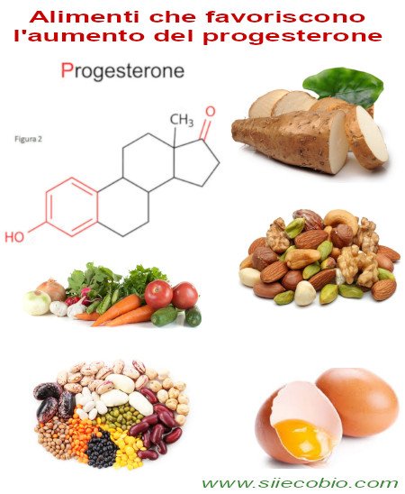 Aumentare_progesterone_con_cibo.jpg