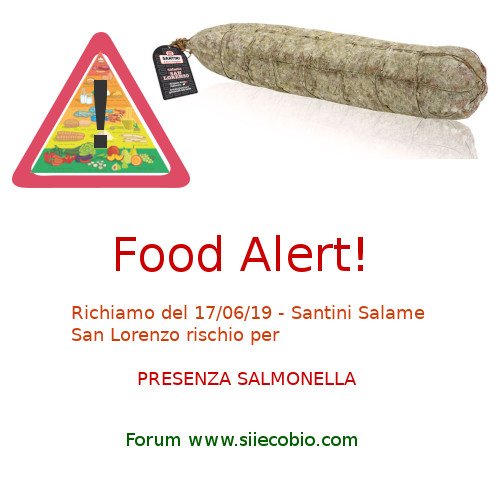 Santini_Salame_San_Lorenzo_richiamo_salmonella.jpg