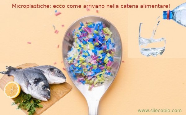 Microplastiche_nell_alimentazione.jpg