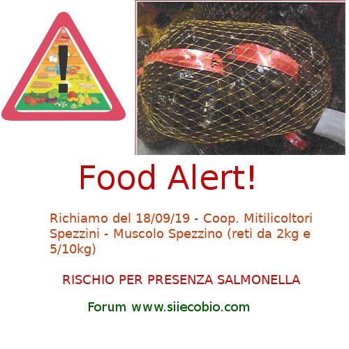 Muscolo_Spezzino_richiamo_salmonella.jpg