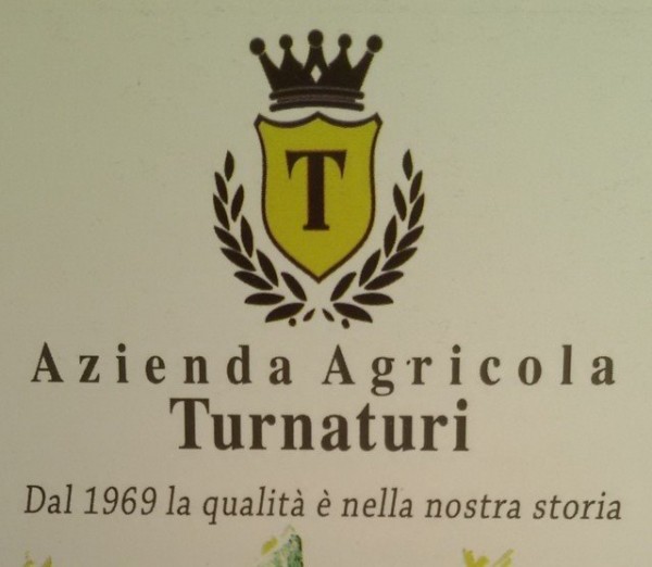 Logo Turnaturi