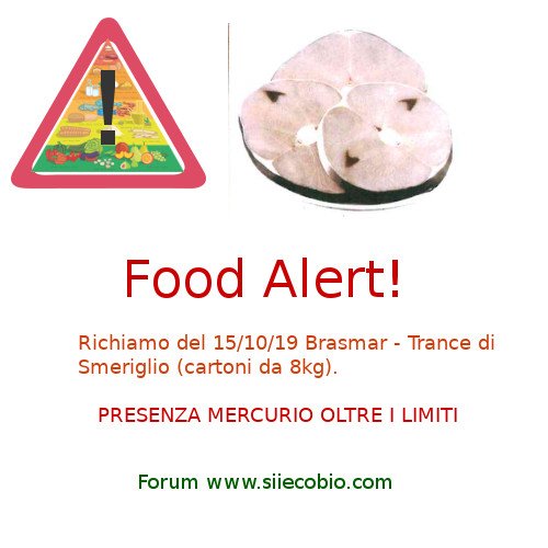 Brasmar_Trance_smeriglio_richiamo.jpg