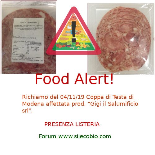 Gigi_Salumificio_Coppa_testa_richiamo.jpg