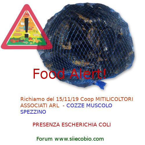 Coop_Mitilicoltori_Cozze_richiamo.jpg