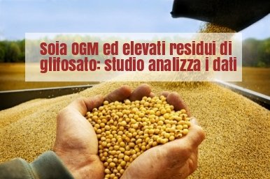 Soia_OGM_Glifosato.jpg