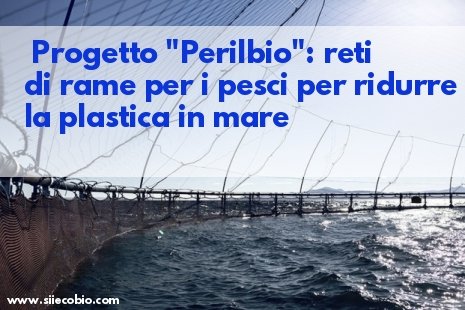 Perilbio_Progetto_CREA.jpg