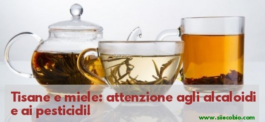 Tisane_e_Miele_rischio_alcaloidi.jpg