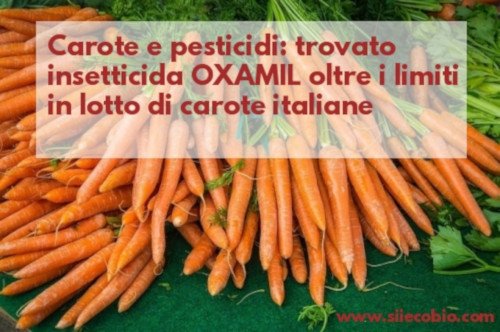 Carote_e_pesticidi.jpg