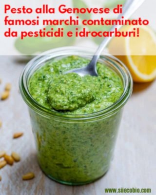 Pesto_alla_Genovese_contaminato_marchi.jpg