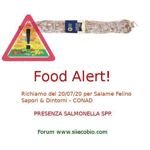 Conad_Salame_Felino_richiamo.jpg