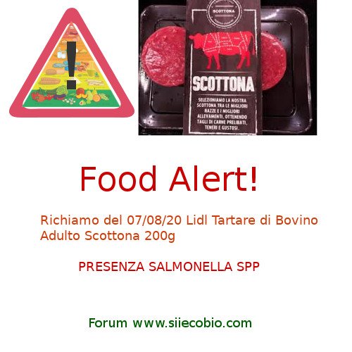 Lidl_Tartare_Bovino_Scottona_richiamo_Salmonella.jpg