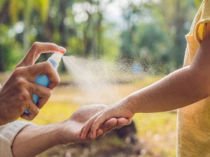 Repellenti_naturali_antizanzare_buon_INCI.jpg