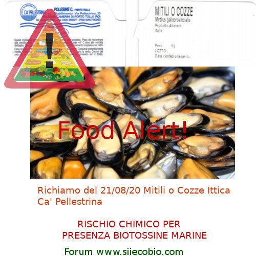 Cozze_Mitili_Ca_Pellestrina_richiamo.jpg