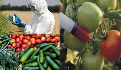 Pesticidi_frutta_verdura_dossier_legambiente_2020.jpg