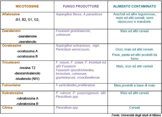 Micotossine_tabella.jpg