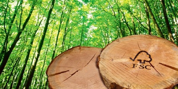 Foreste_legno_eco_certificati_FSC.jpg