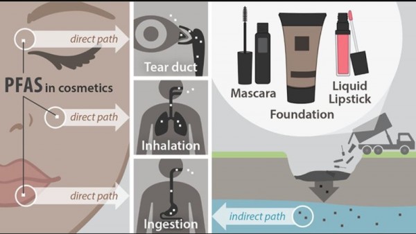 Pfas_nei_cosmetici_rischi.jpg