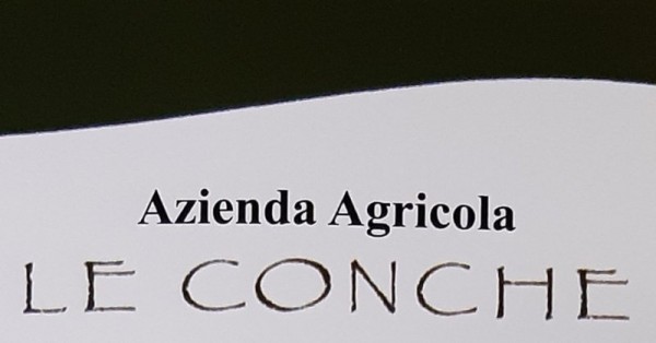 Logo Azienda Agricola Le Conche
