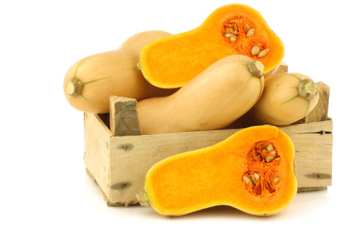 Zucca_cucurbita_moschata.jpg