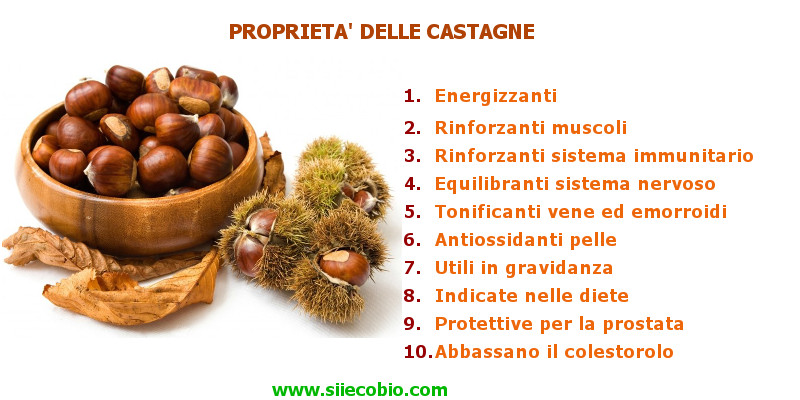 Castagne_proprieta_utilizzi_benefici.jpg