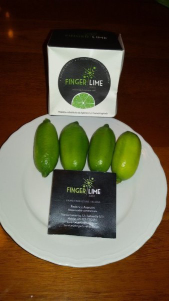 Finger_lime.jpg