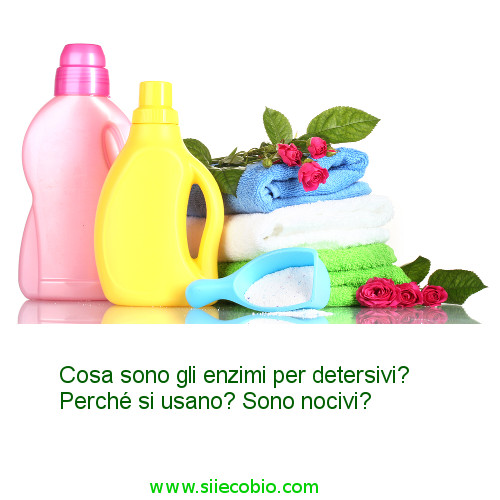 Detersivo_ecologico_con_senza_enzimi.jpg