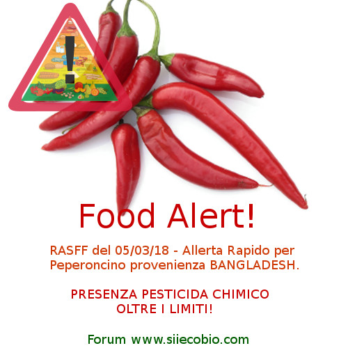 Peperoncino_Bangladesh_rischio_pesticida.jpg