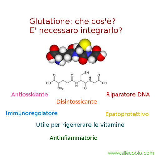 Glutatione_che_cosa_e.jpg