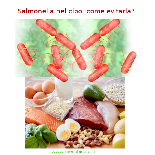 Salmonella_come_evitarla.jpg