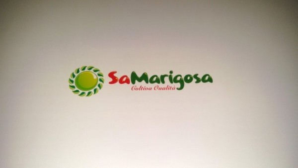 logo sa marigosa