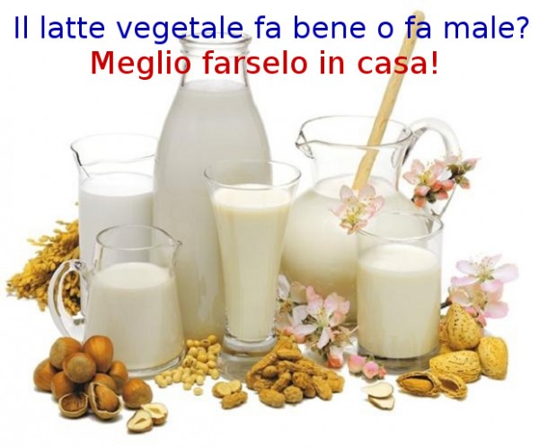latte_vegetale_fa_bene_o_male.jpg