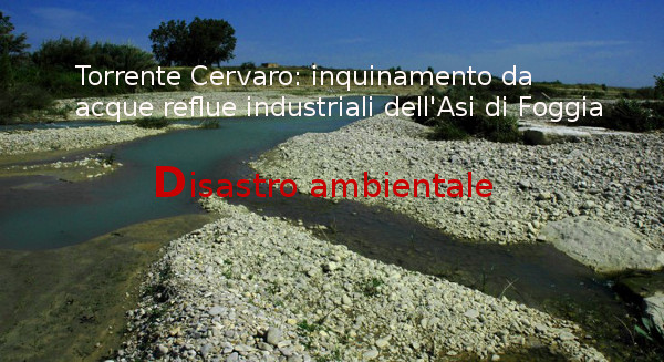 Torrente_Cervaro_inquinato.jpg