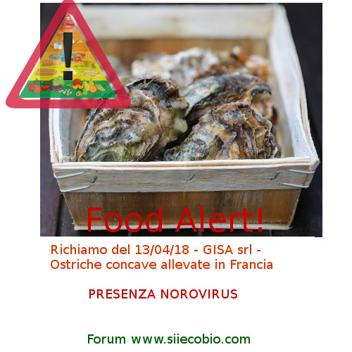 Ostriche_Gisa_presenza_Norovirus.jpg