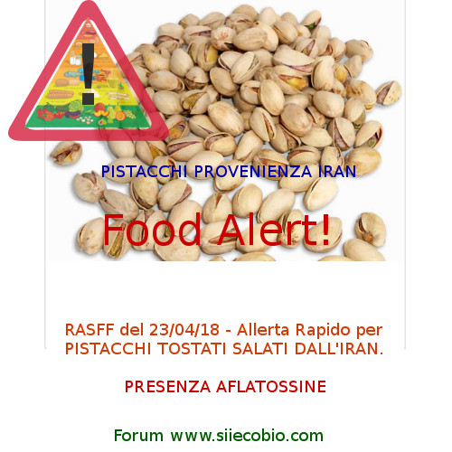 Pistacchi_tostati_salati_Iran_Aflatossine.jpg
