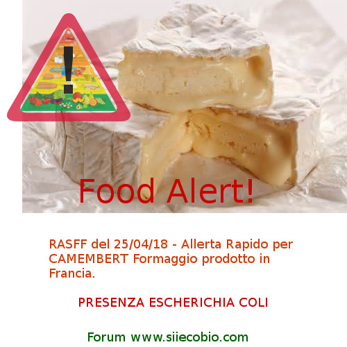 Camembert_formaggio_Escherichia_coli.jpg