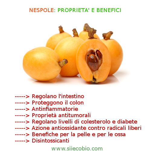 Nespole_proprieta_benefici.jpg