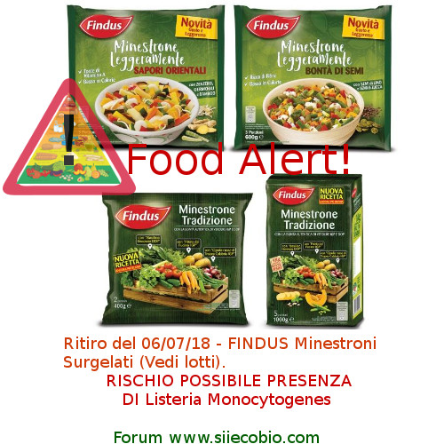 Findus_ritiro_minestroni_rischio_listeria.jpg